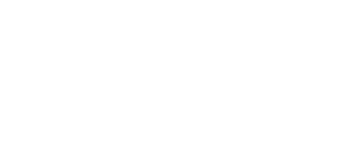 Mavel Fiat